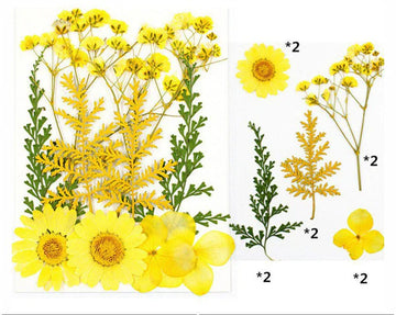 10 In 1 Pressed Flowers Fl003