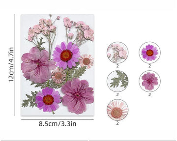 10 In 1 Pressed Flowers Fl172