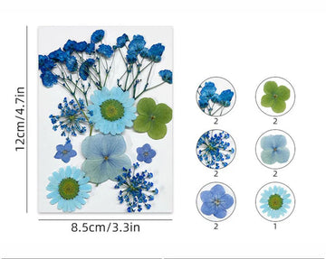 10 In 1 Pressed Flowers Fl173