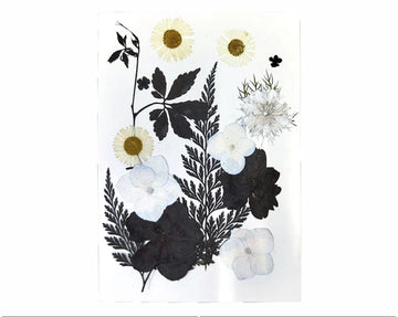 18 IN 1 PRESSED FLOWERS FL169