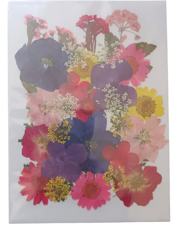 PRESSED DRY FLOWER DFMG108