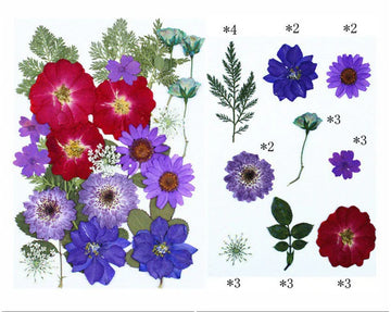 25 IN 1 PRESSED FLOWERS FL068