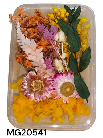 DRY FLOWER BOX MG20541