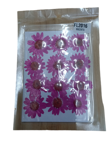 FL2006 MAGENTA Pressed Flowers