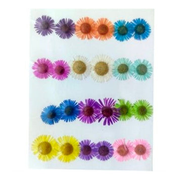 24 In 1 Multi Pressed Dry Small Flowers 81077