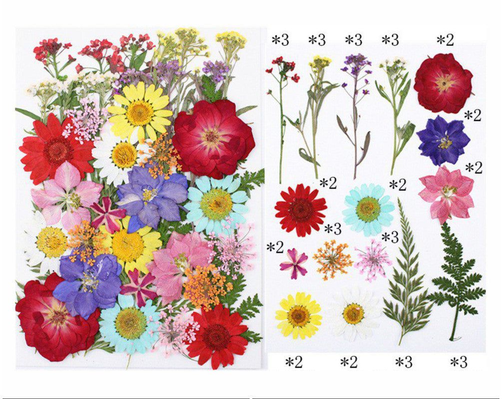 40 In 1 Pressed Flowers Fl147