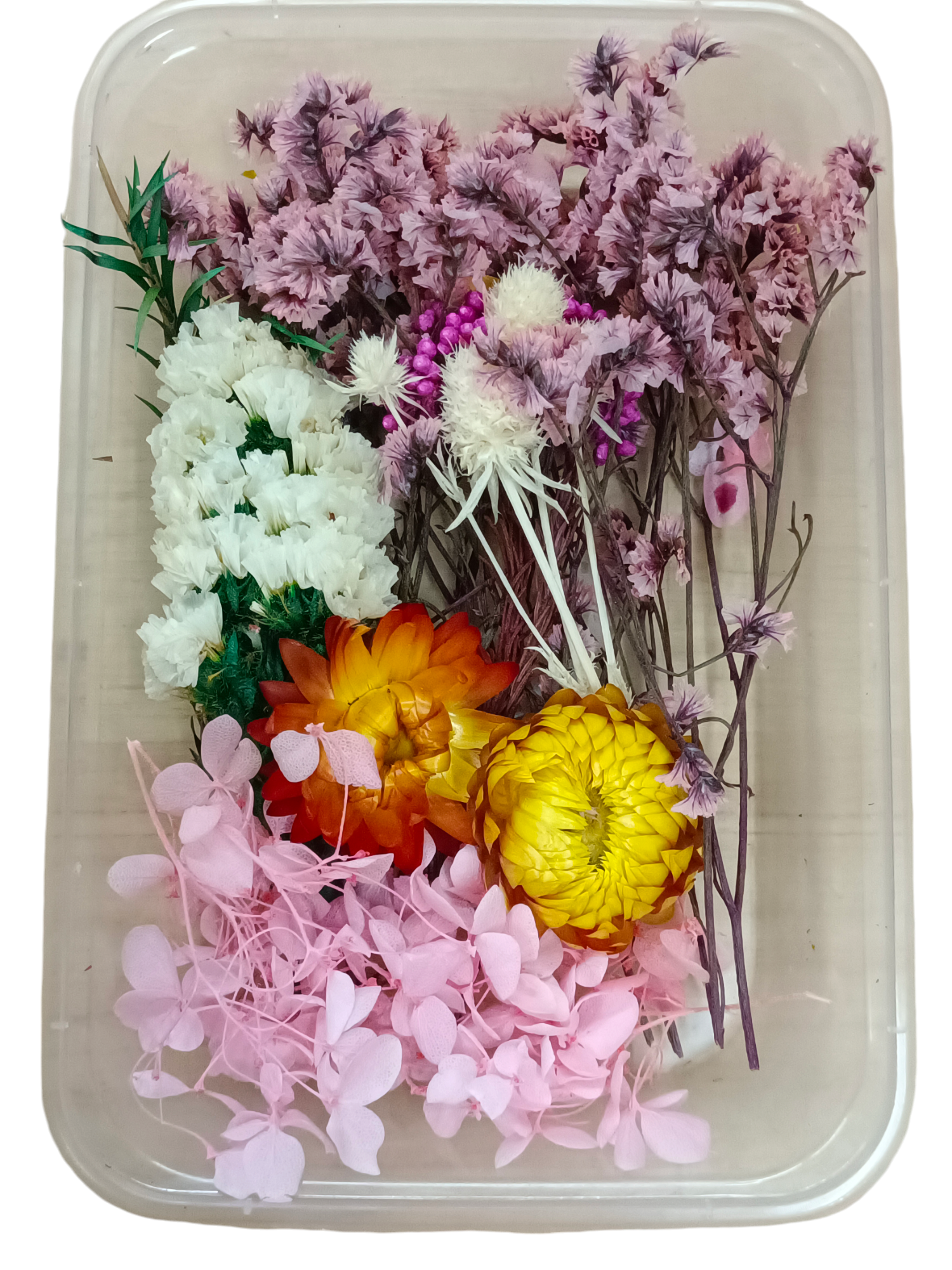 DRY FLOWER BOX MG20539