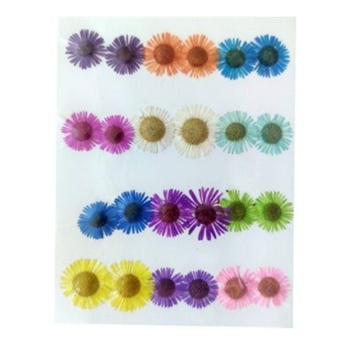 24 In 1 Multi Pressed Dry Small Flowers 81077